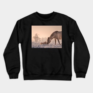 The Changing of the Seasons Crewneck Sweatshirt